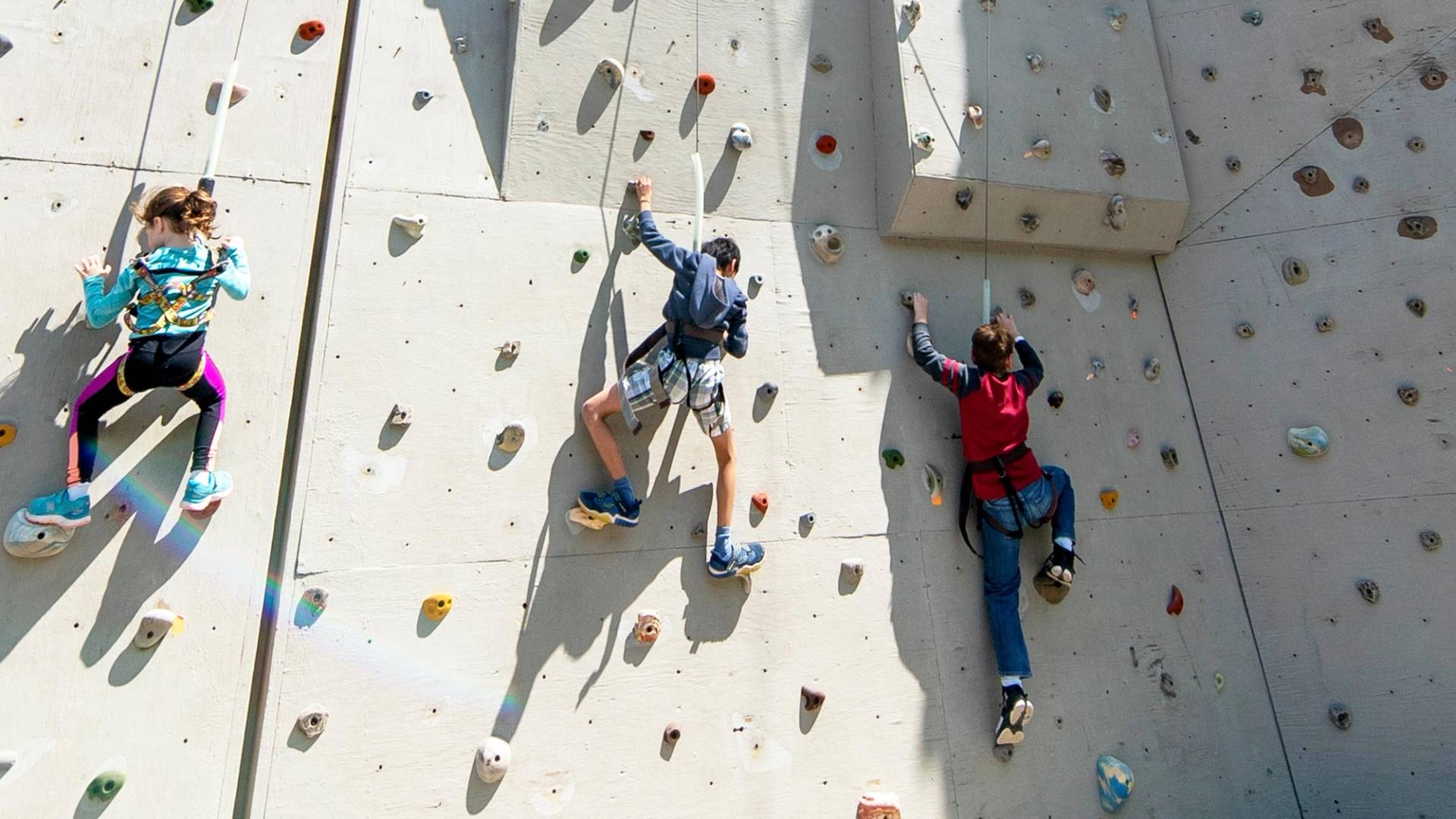 three kids climbing up the climbing wall routes