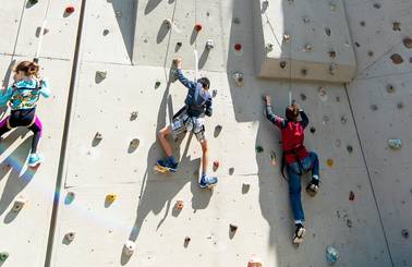 climbing wall