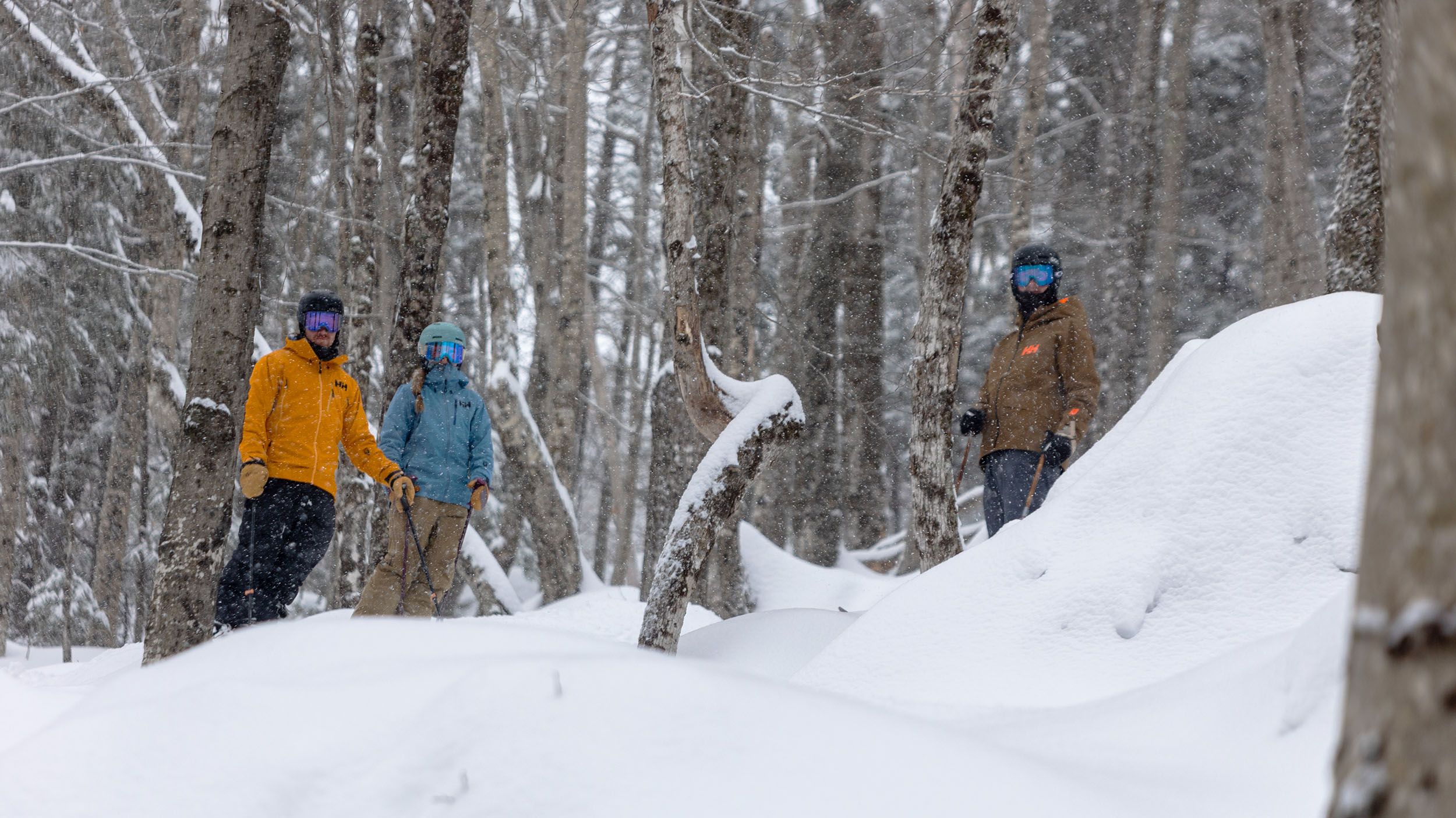 Group of skiers standing in a glade.