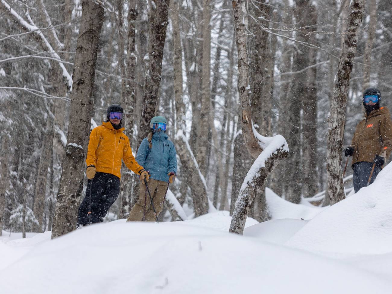 Group of skiers standing in a glade.