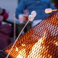 Roasting marshmallows over a campfire