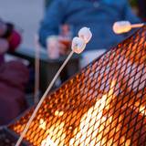 Roasting marshmallows over a campfire