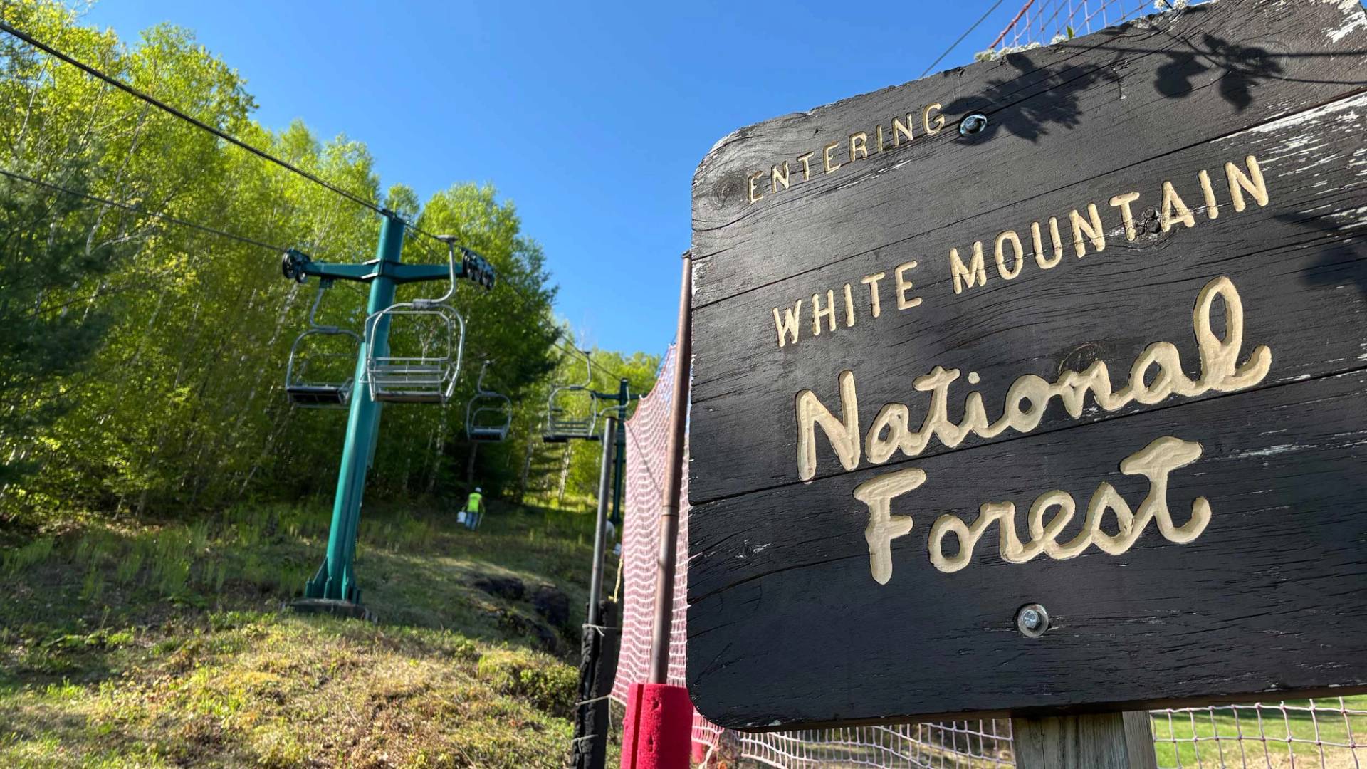 white mountain national forest sign