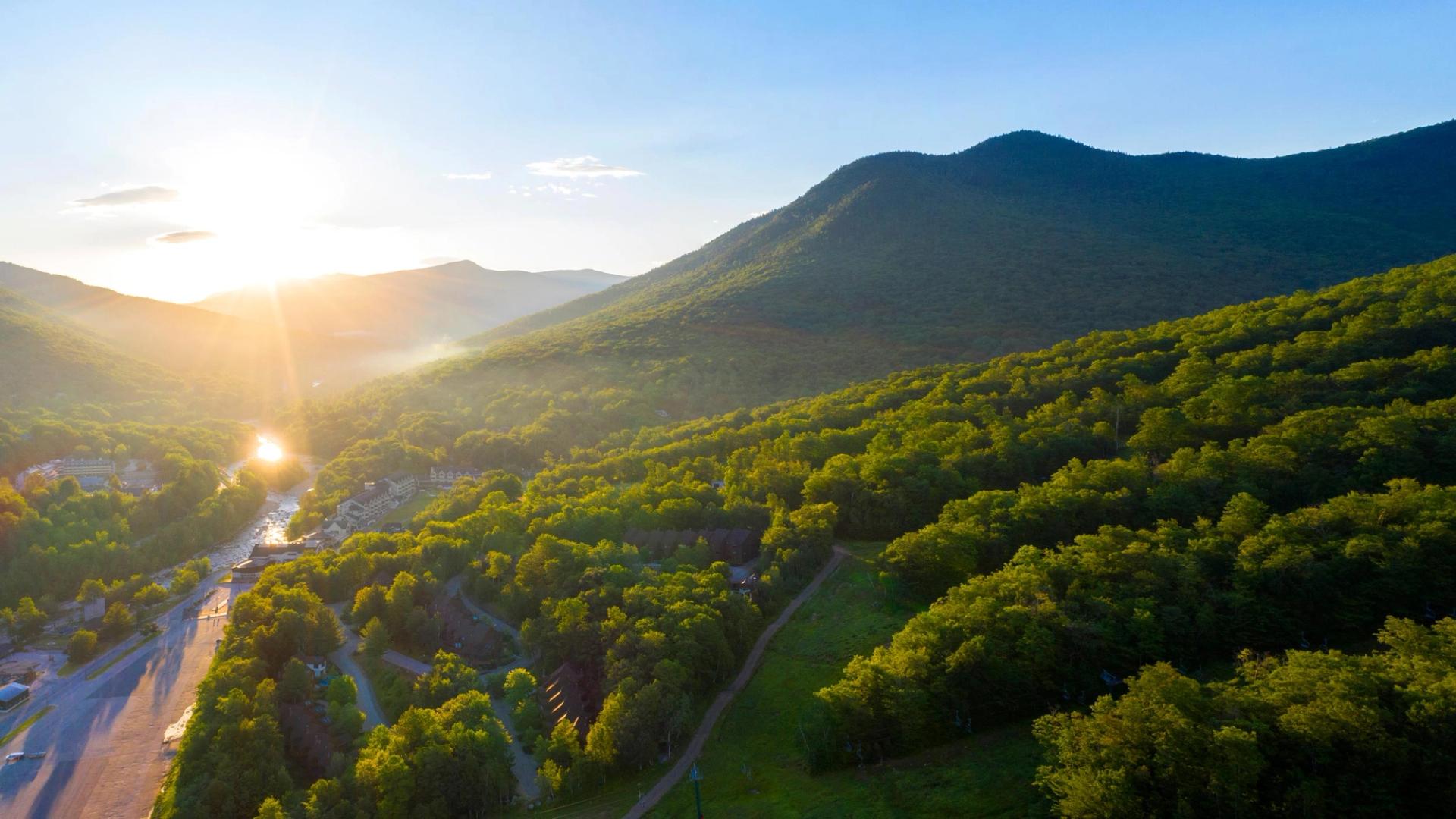 aerial view of loon