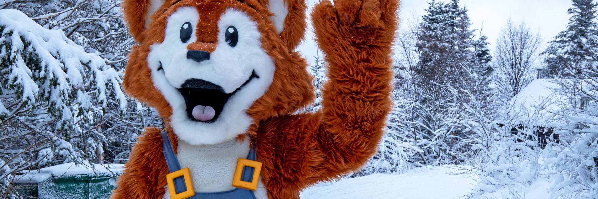 Flynn with snowy background