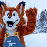 Flynn with snowy background