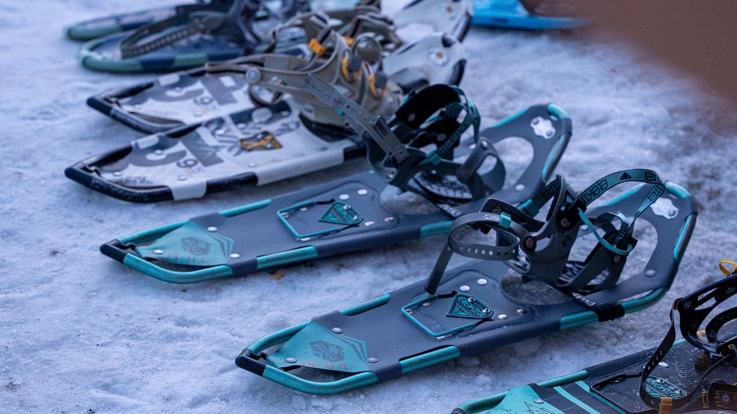 Line of Snowshoes