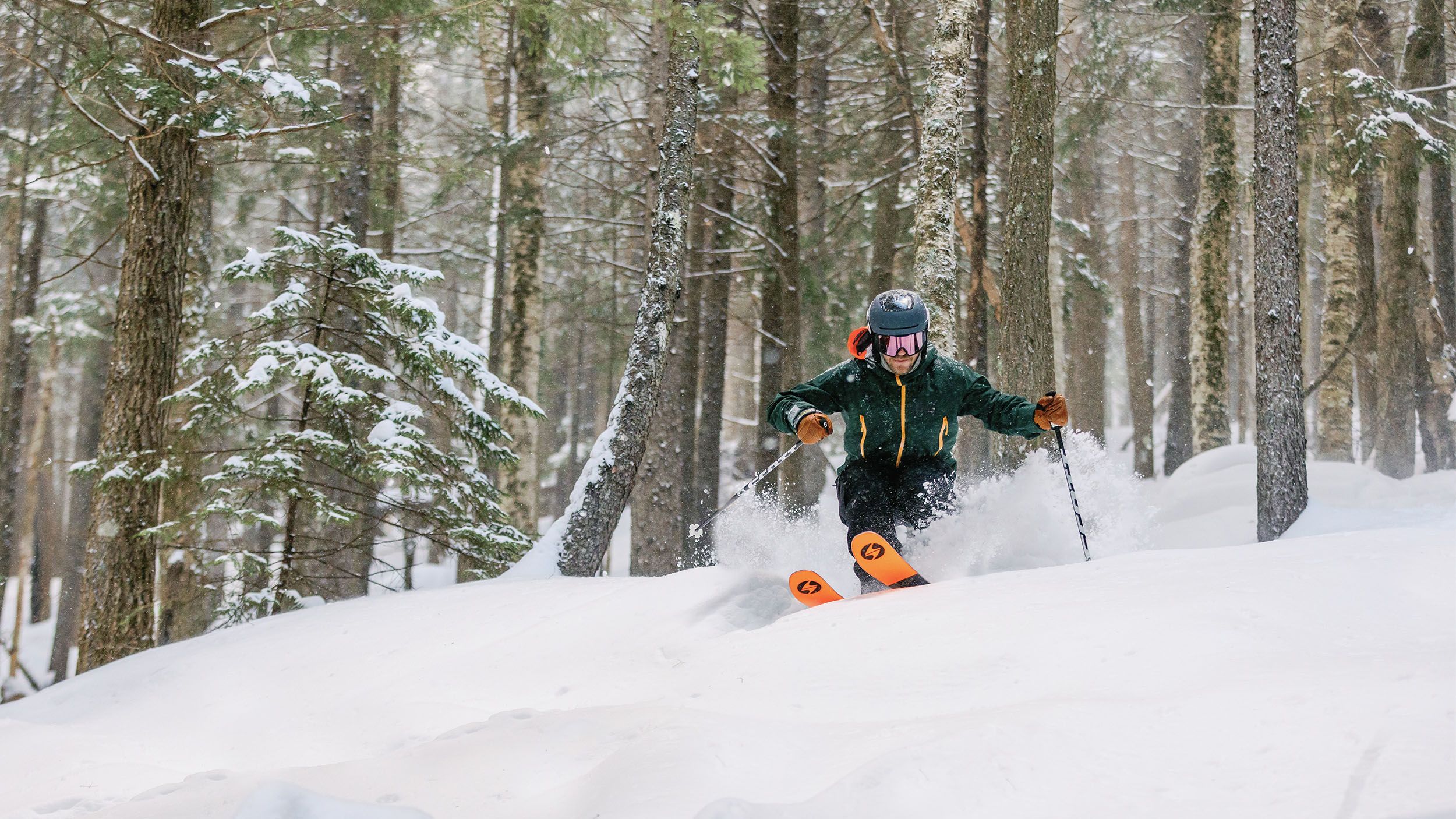Skier in woods