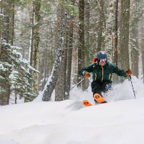 Skier in trees