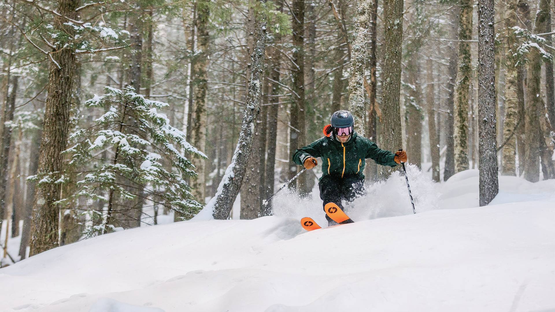 Skier in woods