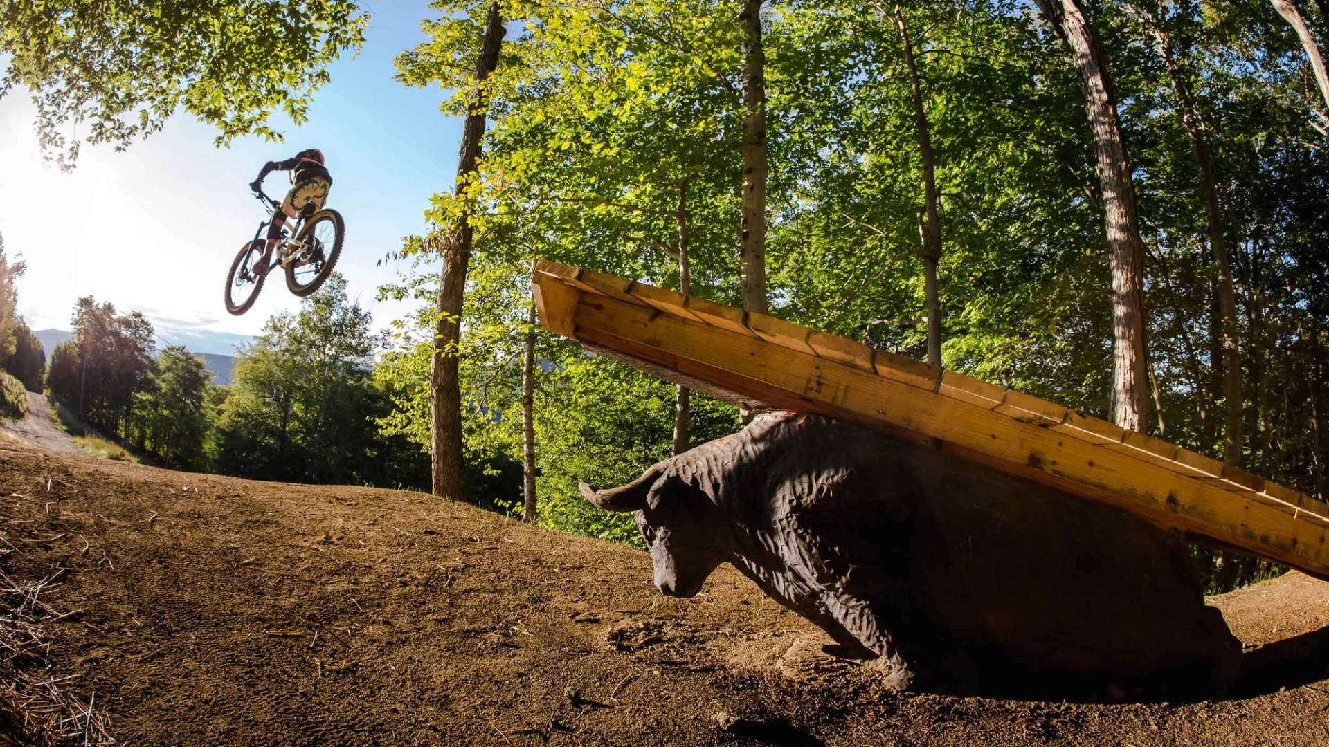 Biker jumping off bull
