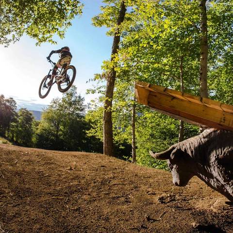 biker catching air