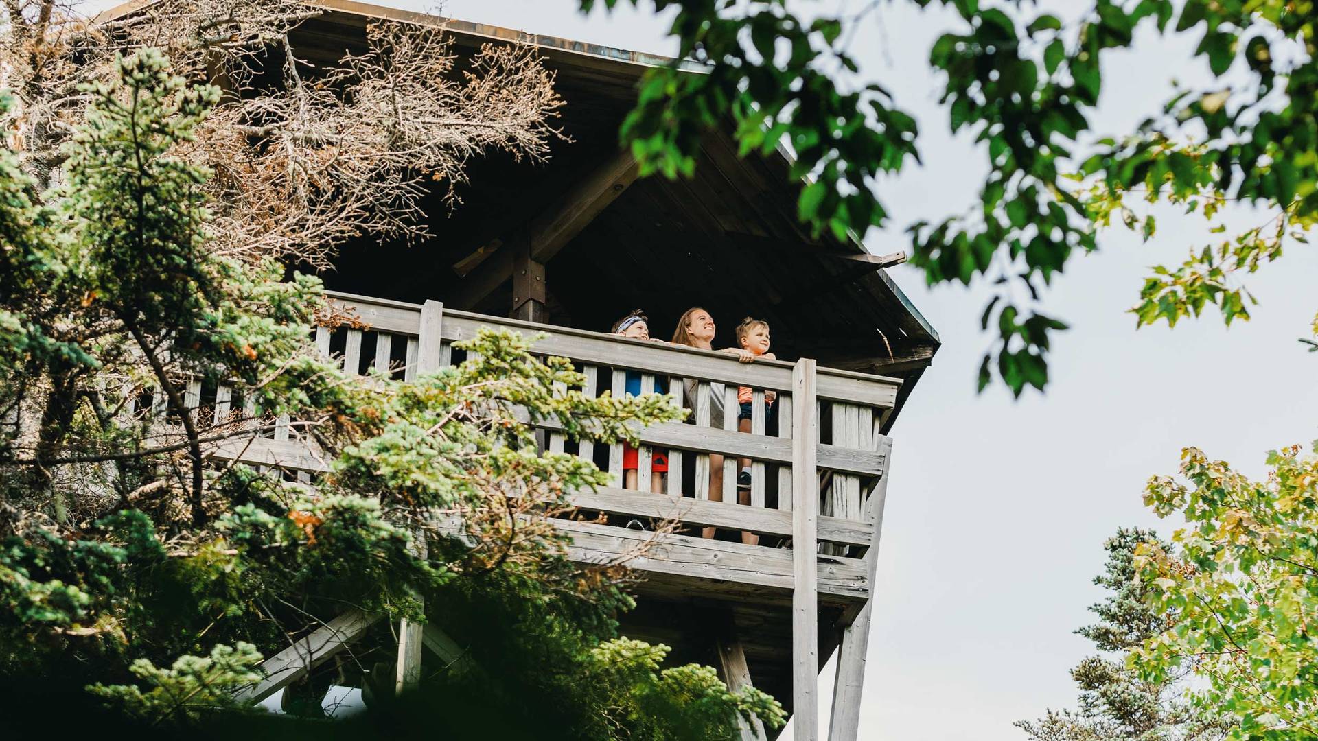 guests looking out on herbert's observation tower