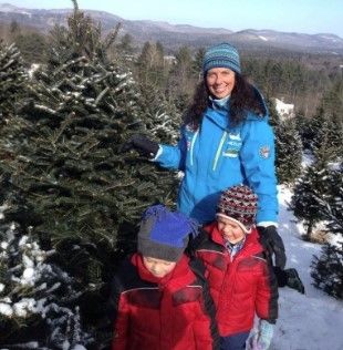 Rocks Estate tree cutting