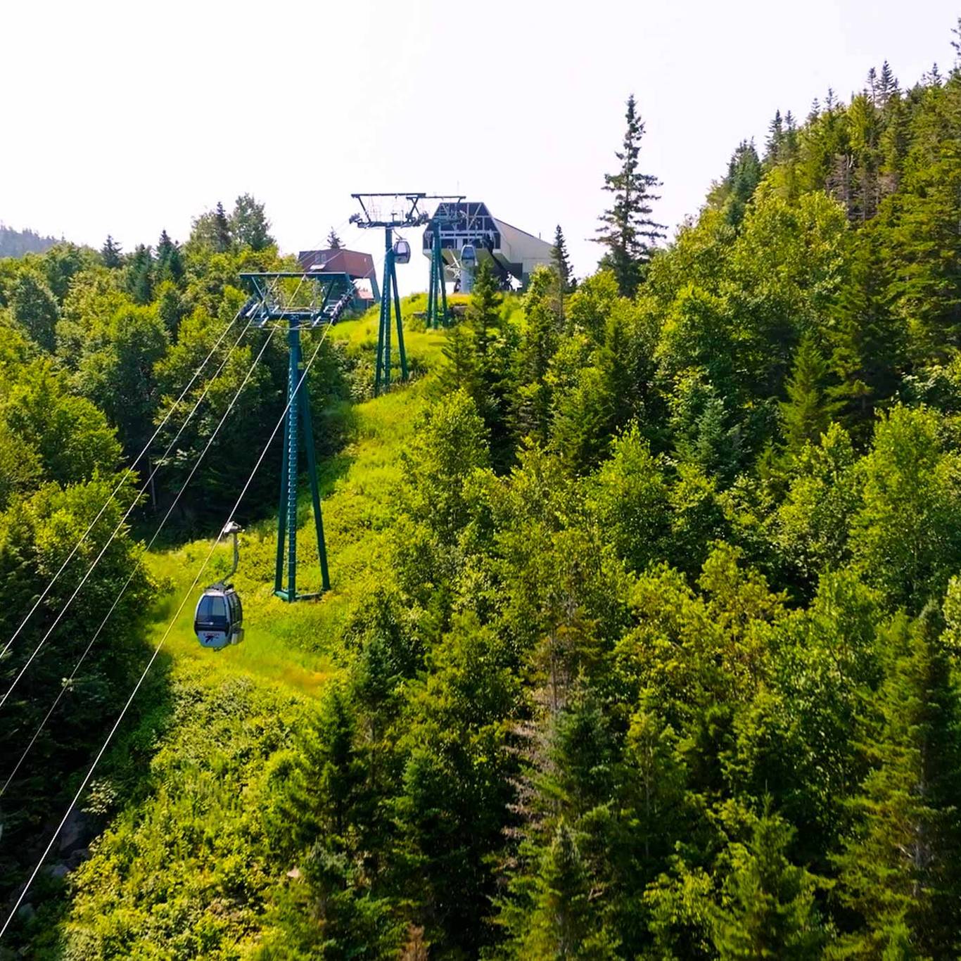 Gondola Skyride at the summit