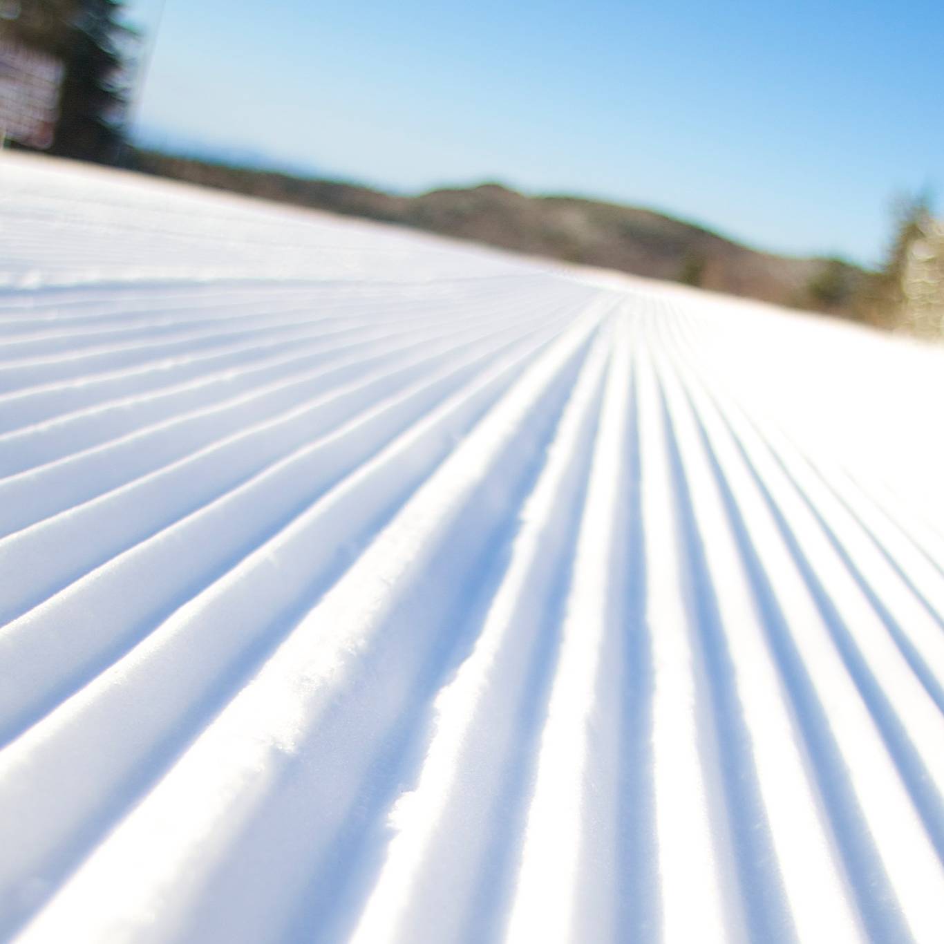 closeup picture of groomed snow
