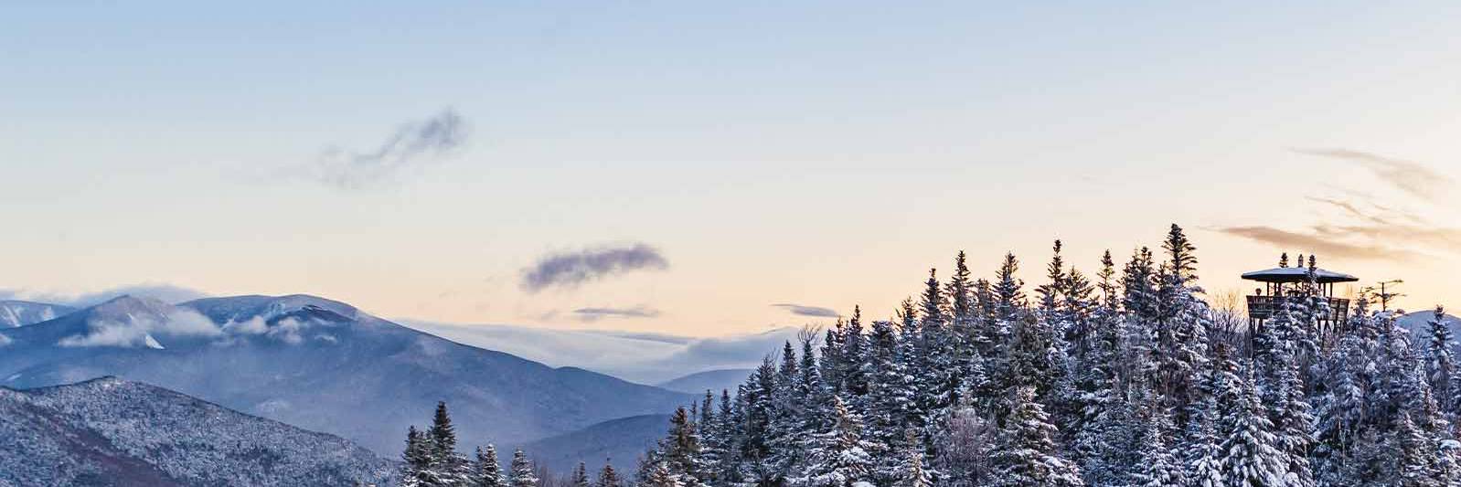 Winter scenic of snowy trees and White Mountains