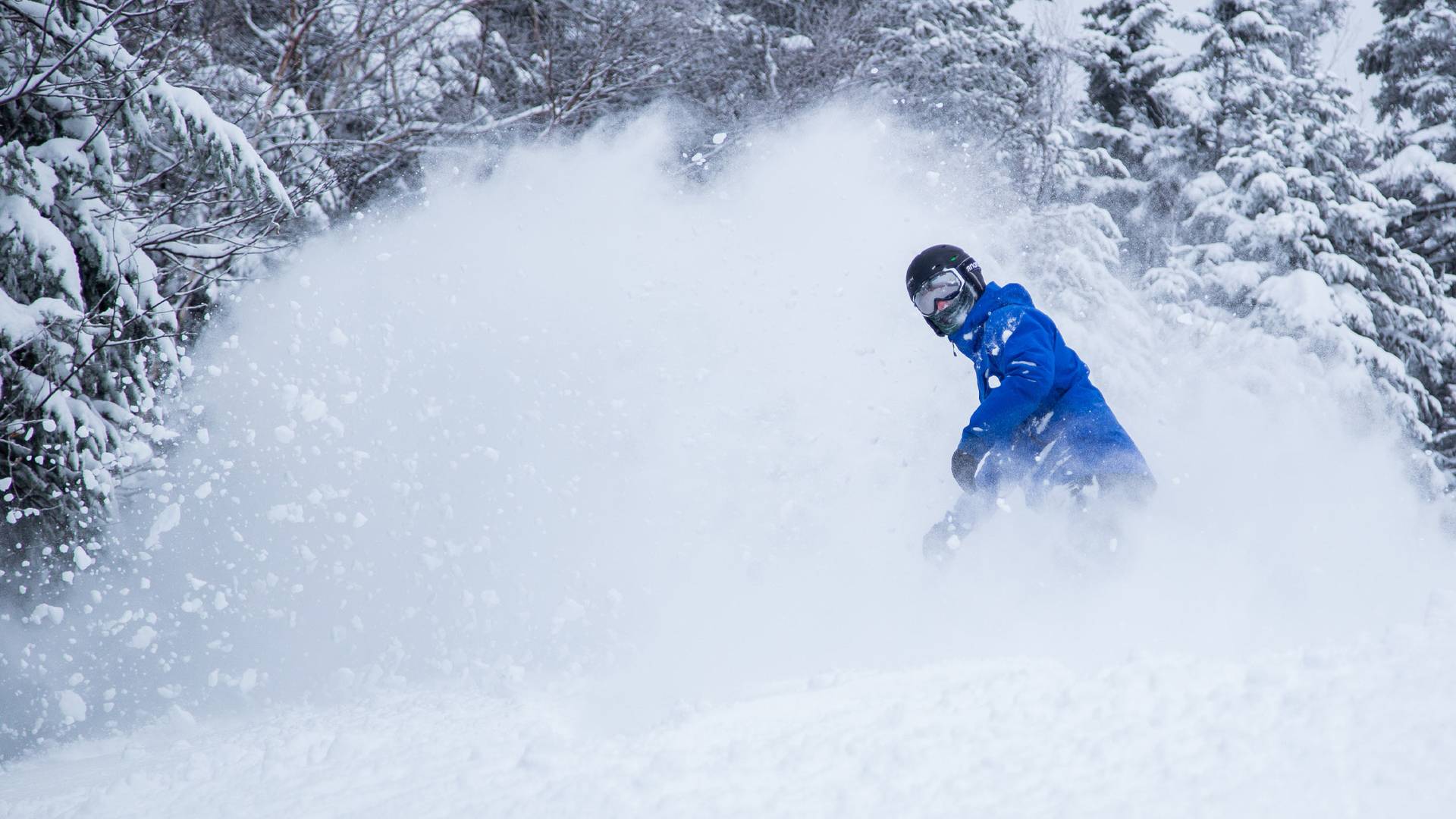winter gondola skyride