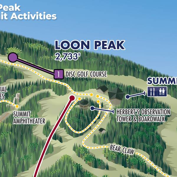 Disc golf course trail map