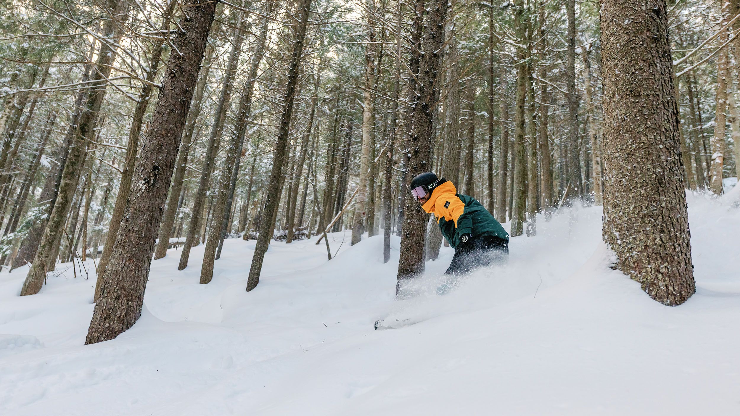 Skier in glades