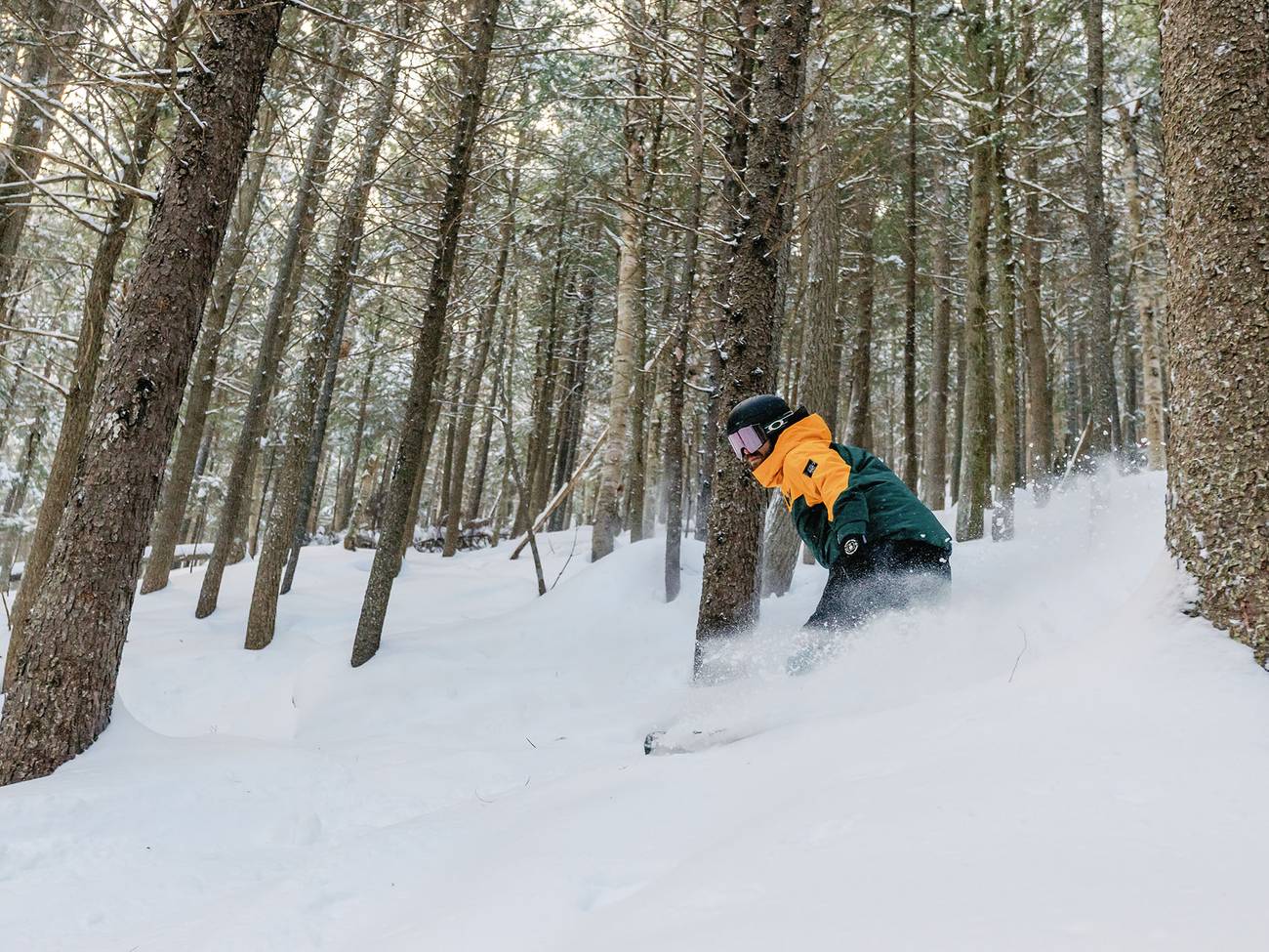 Skier in glades
