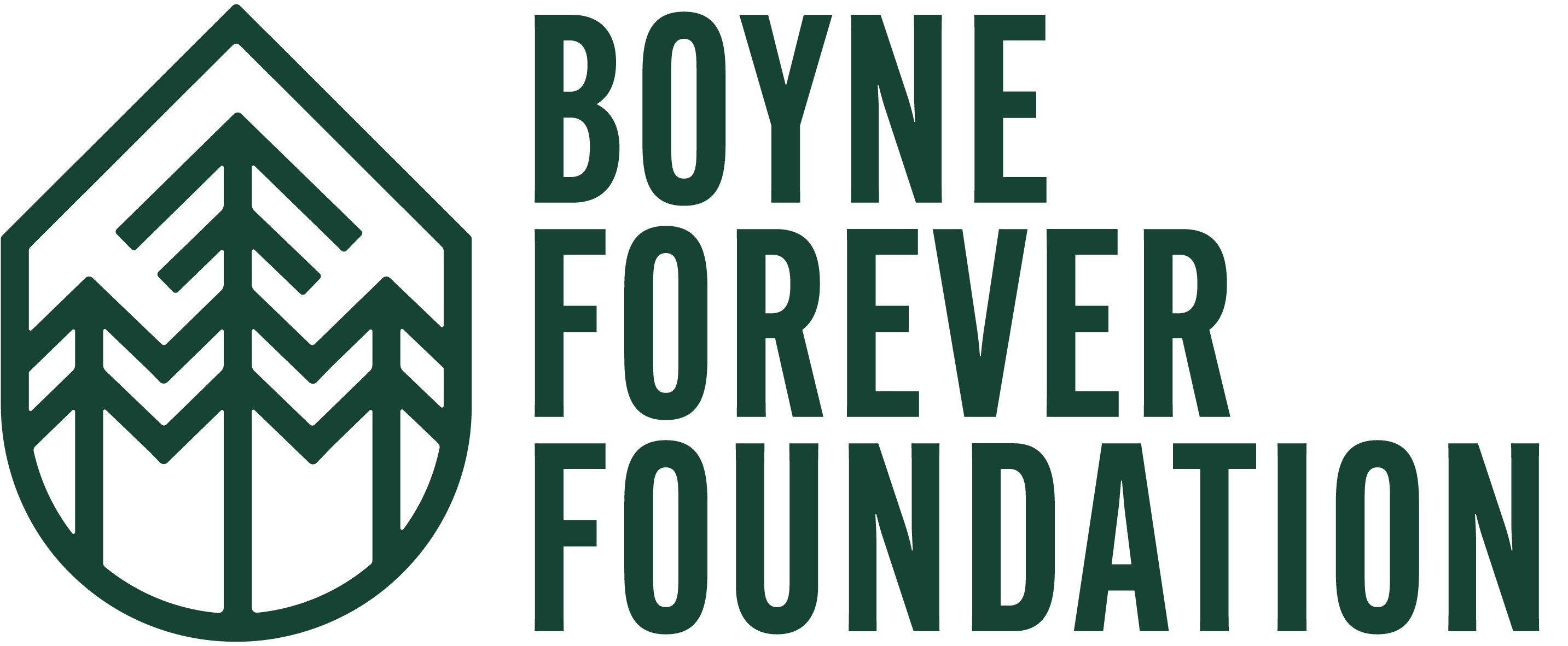 Boyne Forever Foundation logo