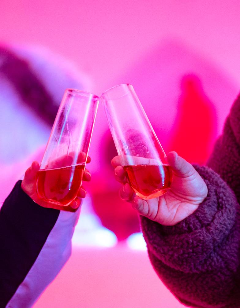 People toasting with champagne in an iglu.