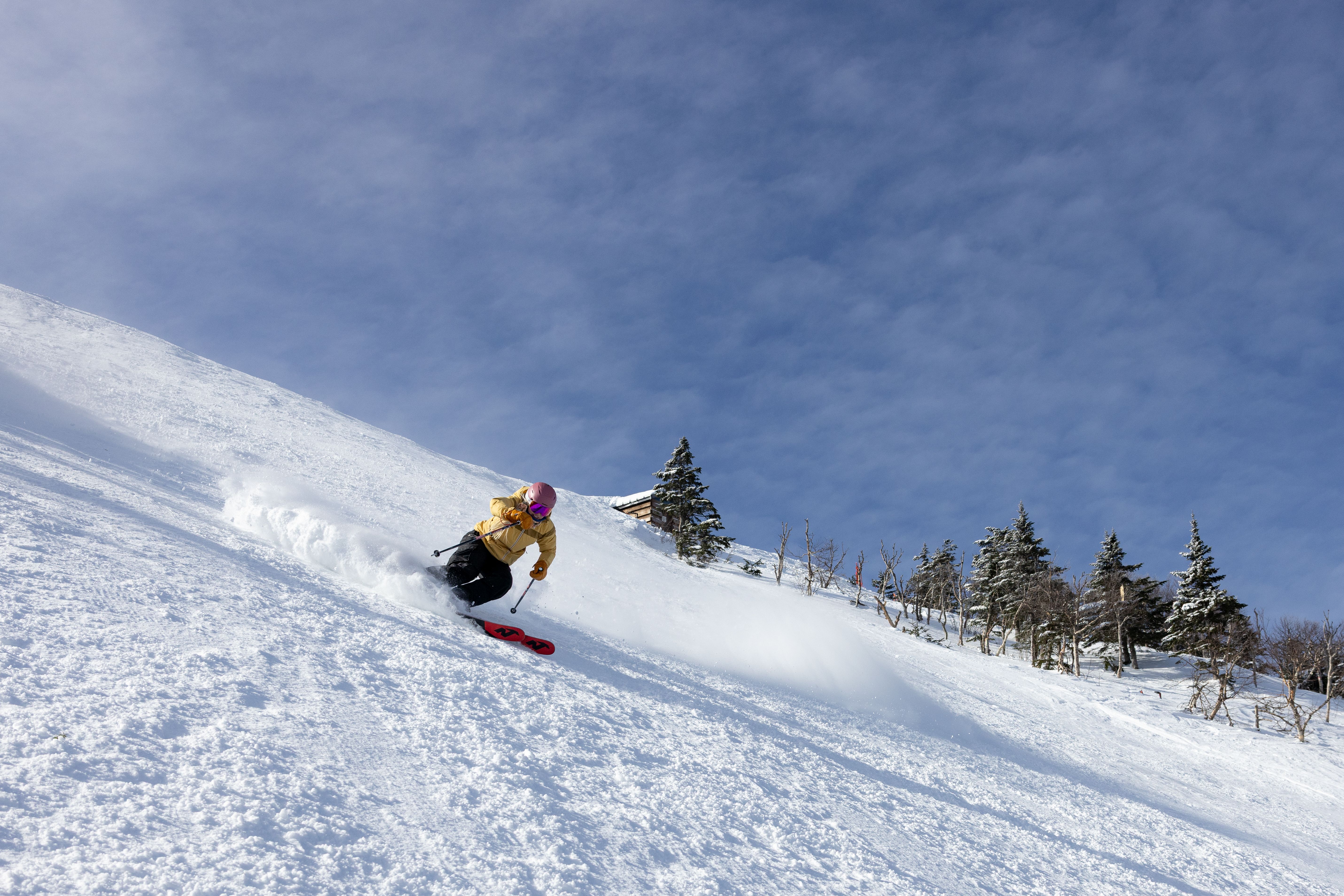A person skiing down a trail.
