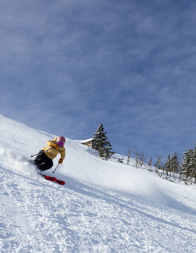 A person skiing down a trail.
