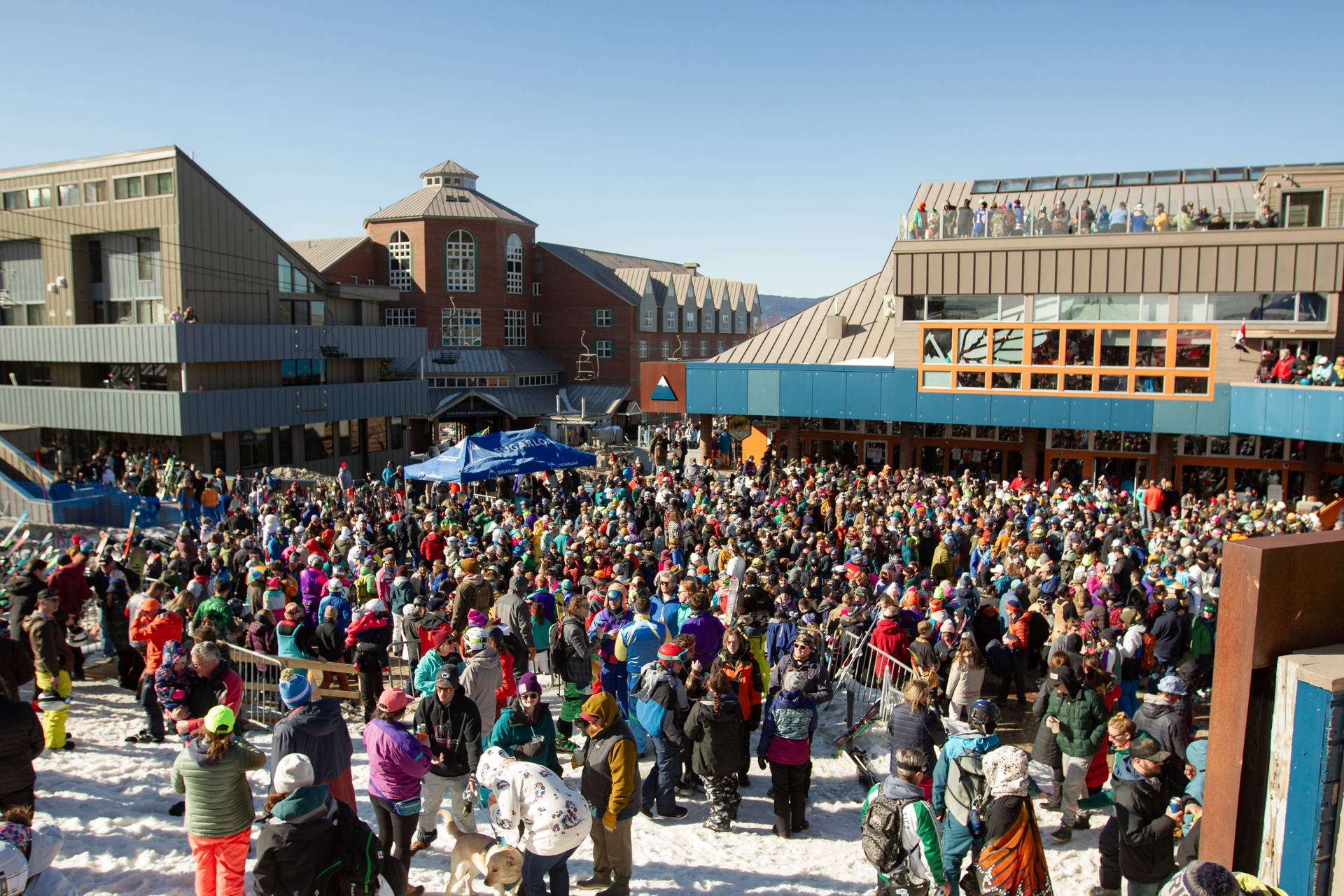 Large crowd of people outside at Sugarloaf's ReggaeFest in the spring.