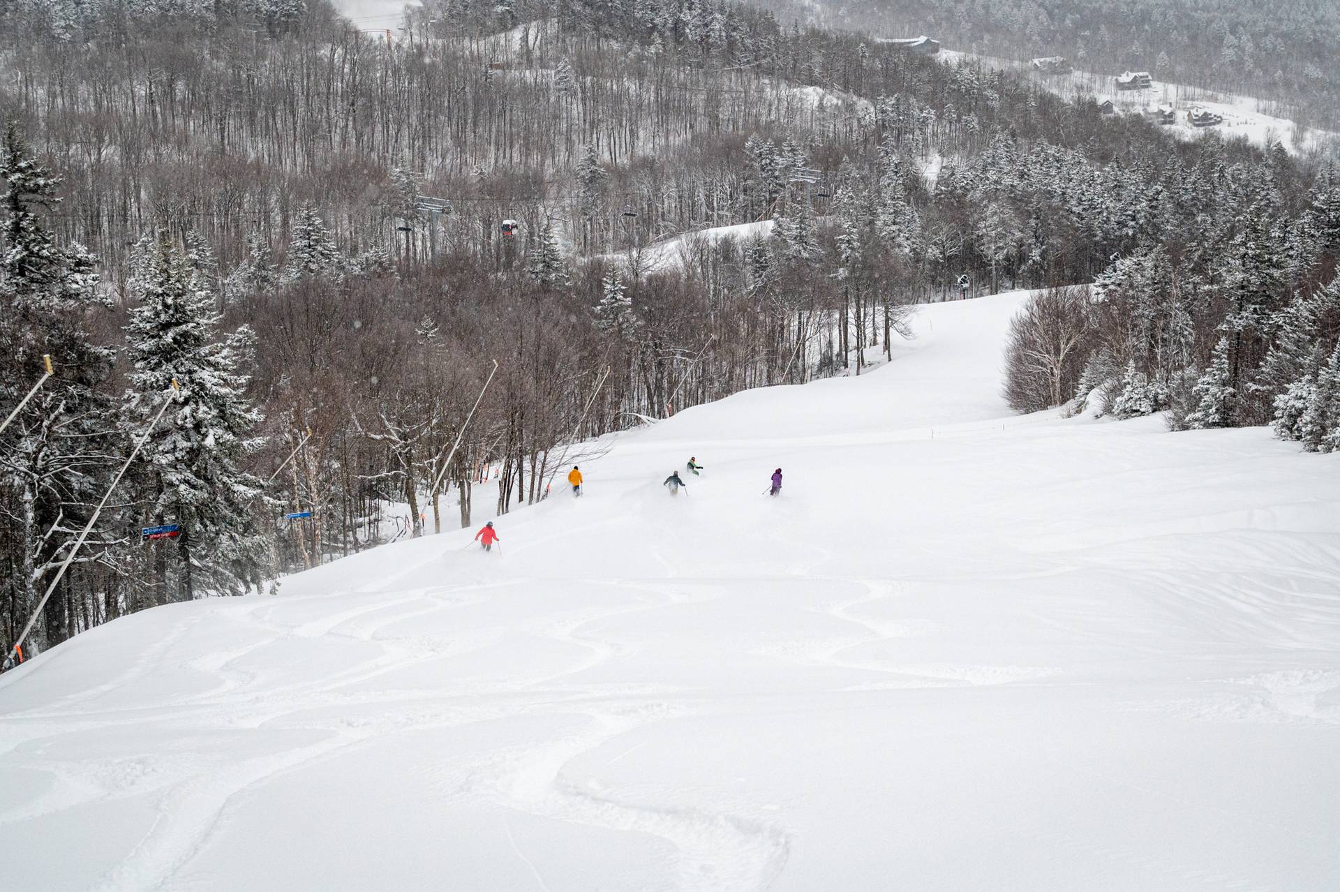 Group of skiers and snowboarders in the powder.