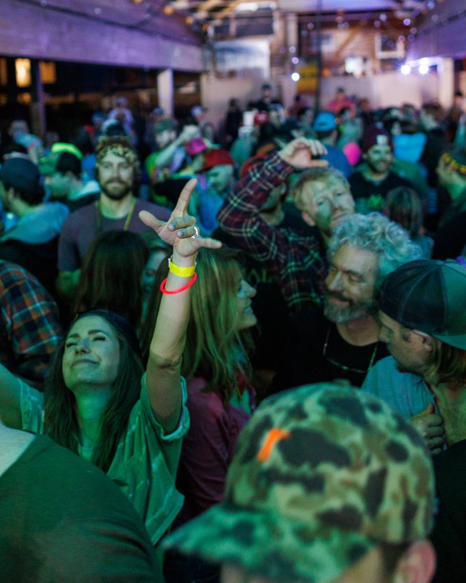 People enjoying music at a concert.