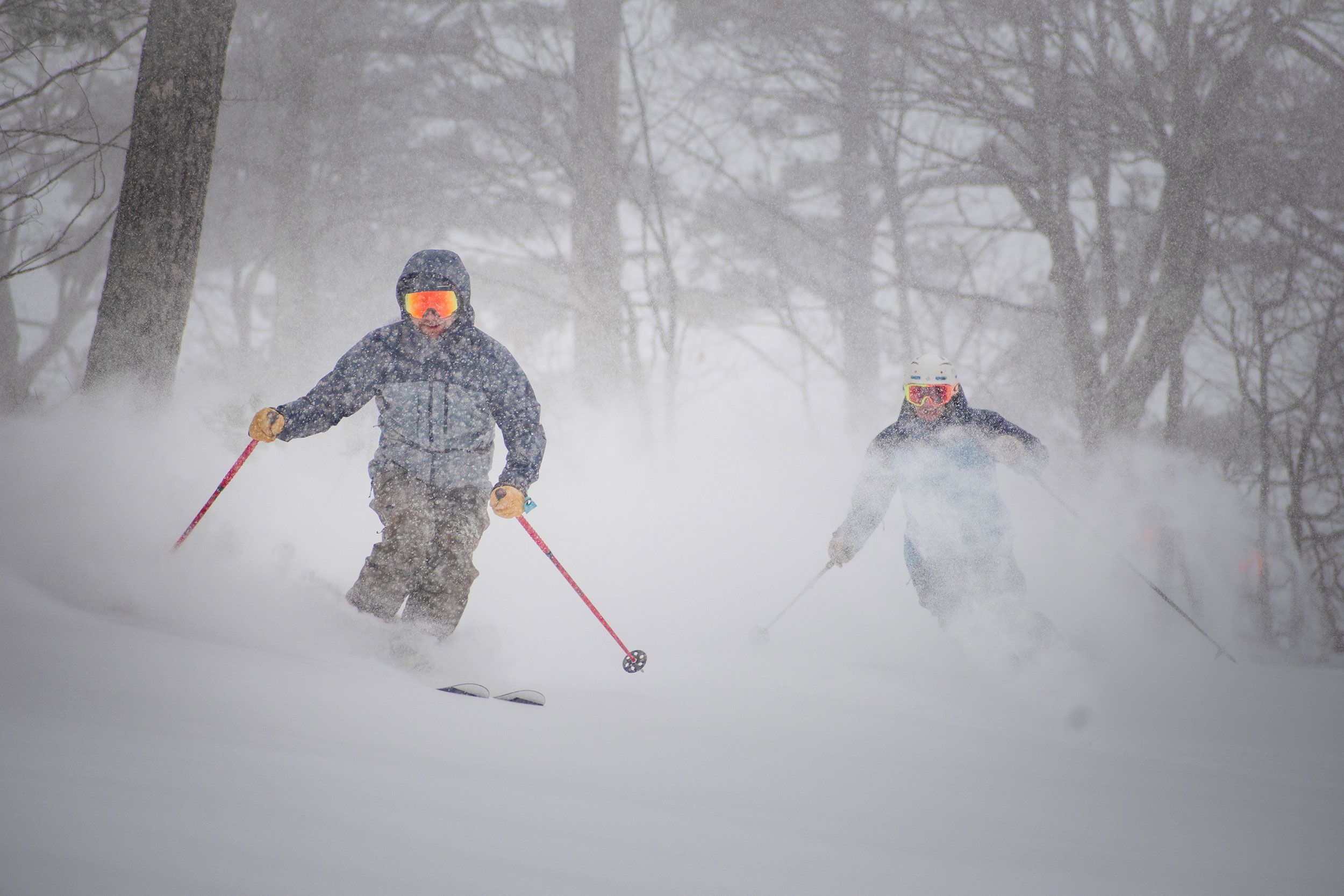 Skiers in powdery glades