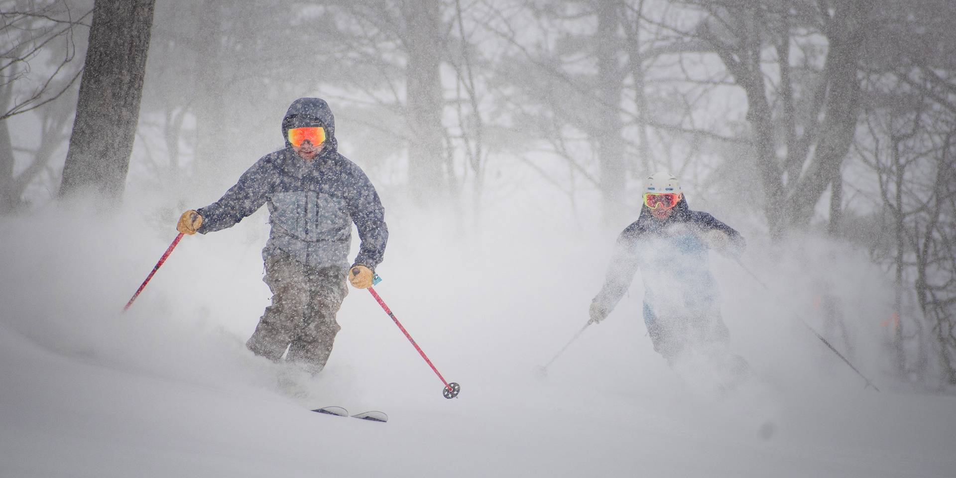 Skiers in powdery glades