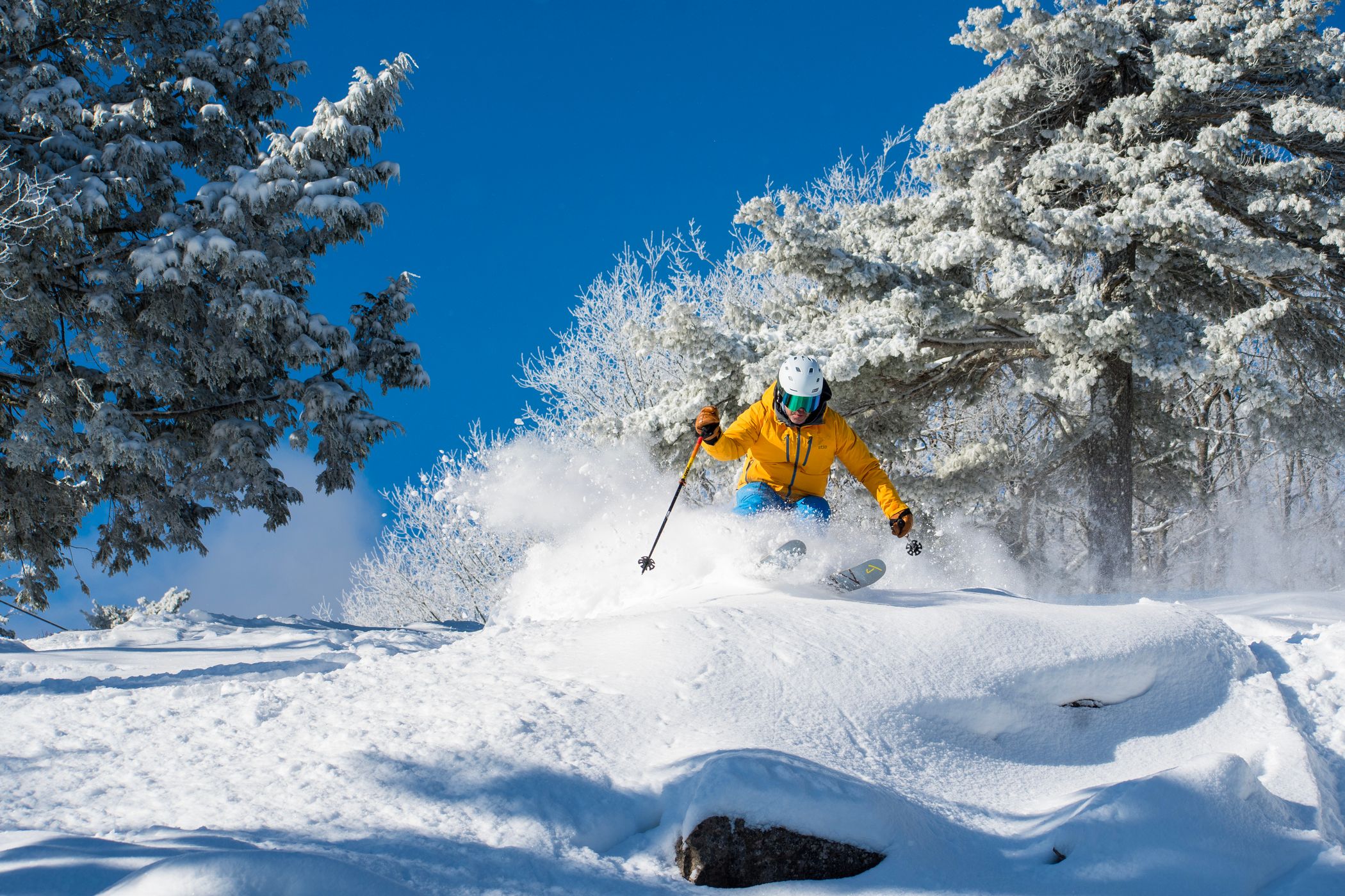 Skier in Yellow Jacker on Codys Caper