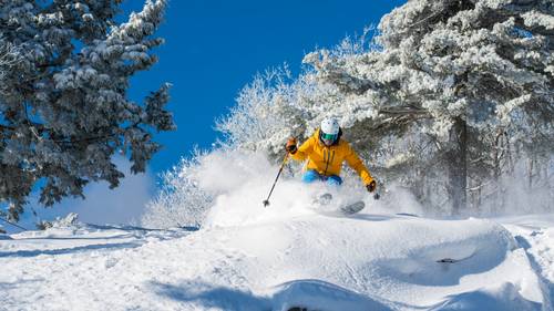 Skier in Yellow Jacker on Codys Caper