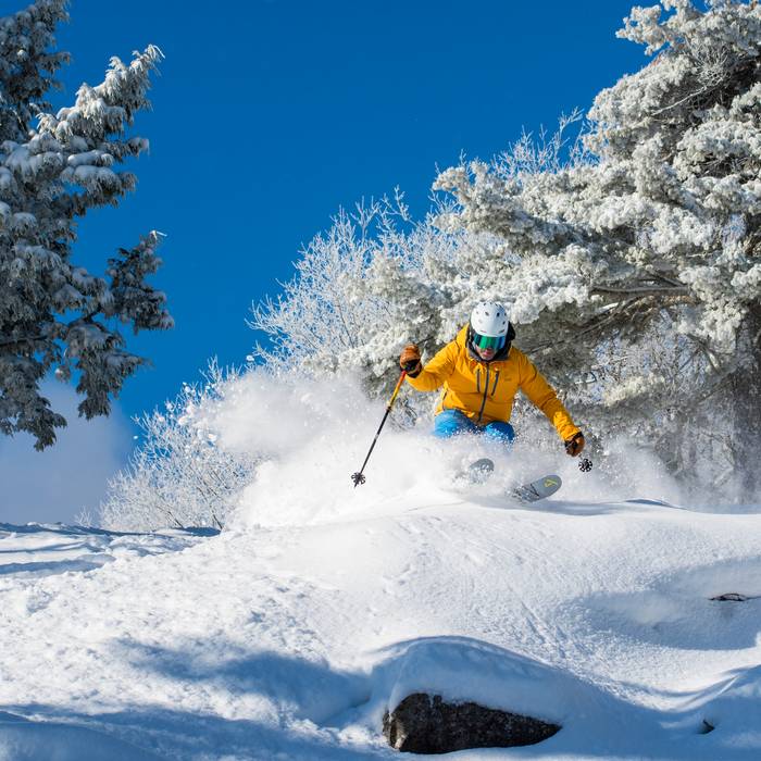 Skier in Yellow Jacker on Codys Caper