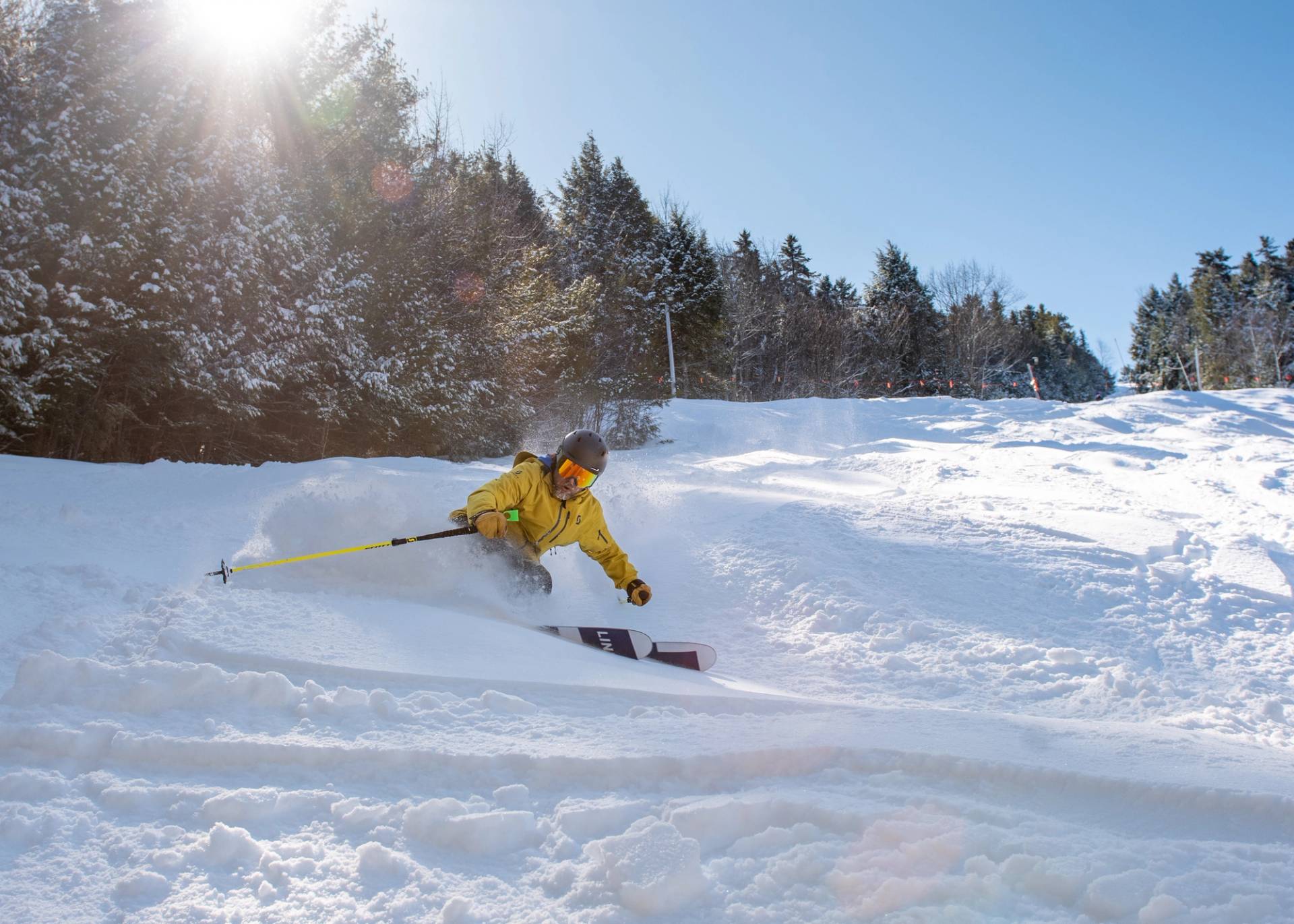 Scotty in Lower Haggetts