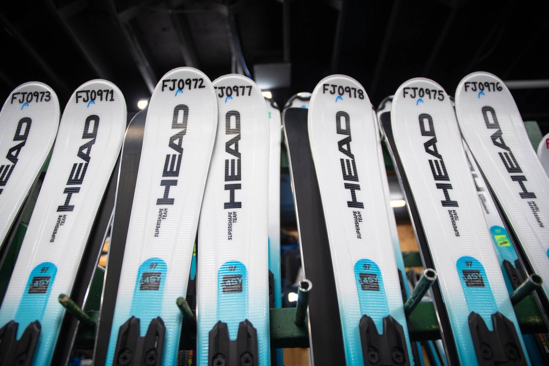 Rentals skis close up