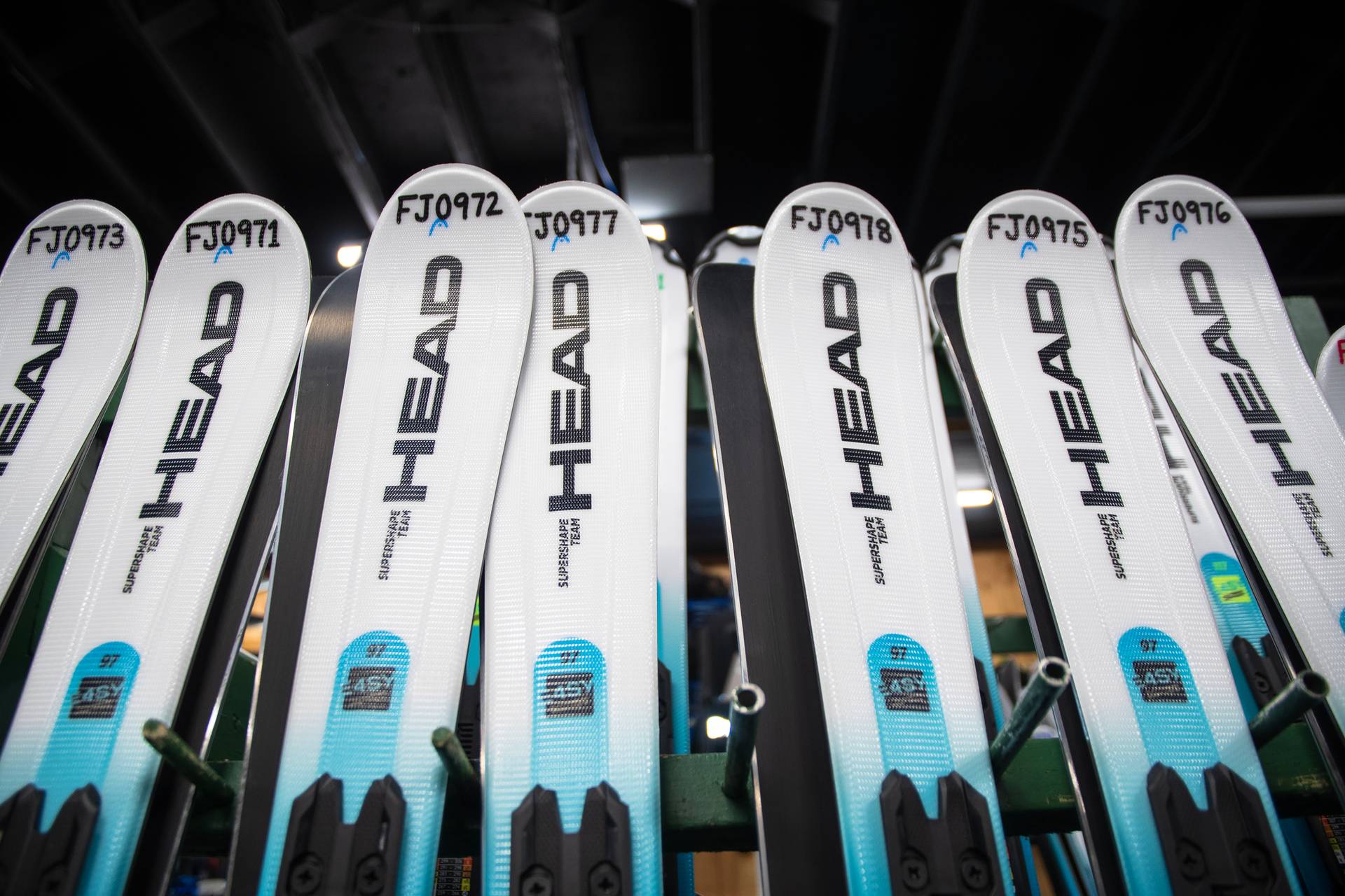 Rentals skis close up