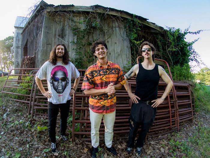 Rigometrics the band