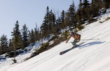 Spring skier