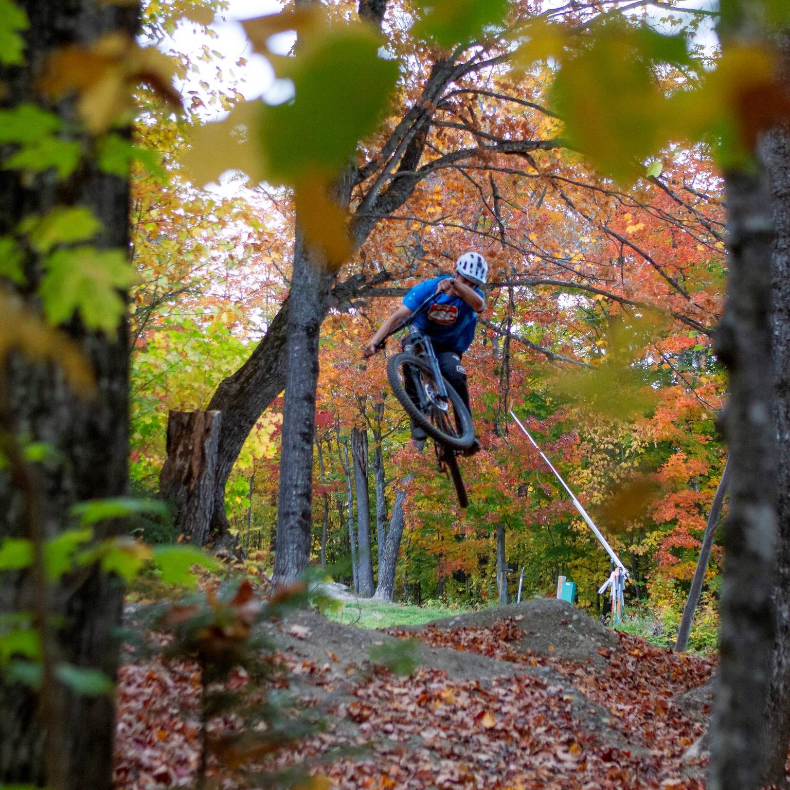 Fall mountain biker