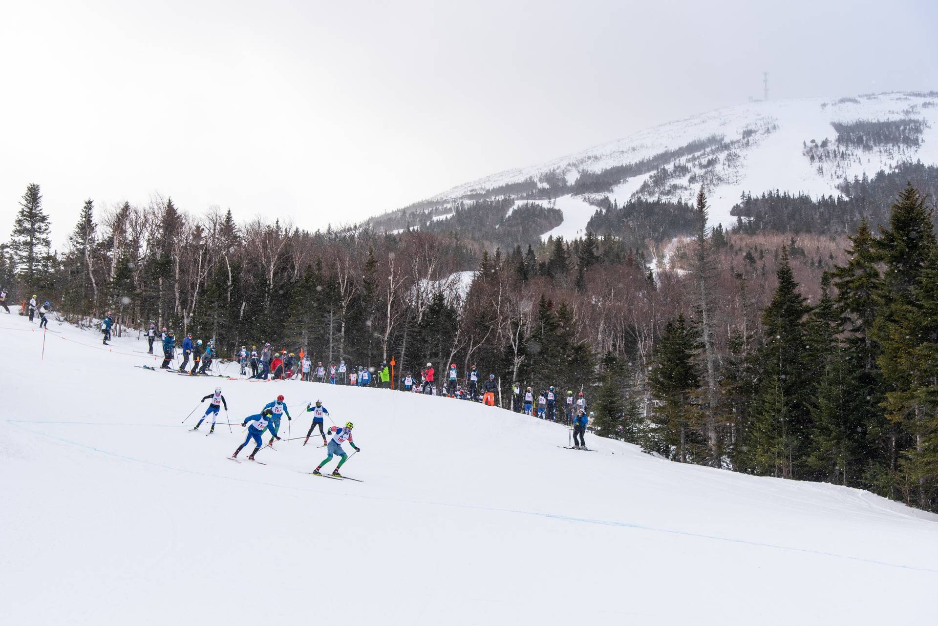 Nordic ski racers on whiffletree