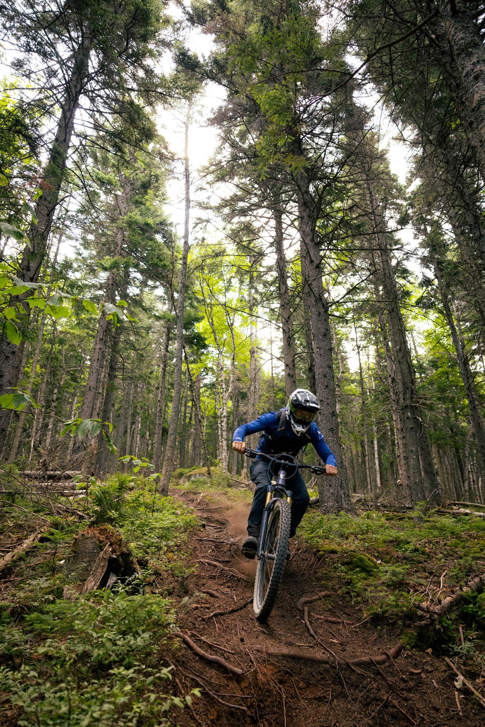 Biker on downhill trail