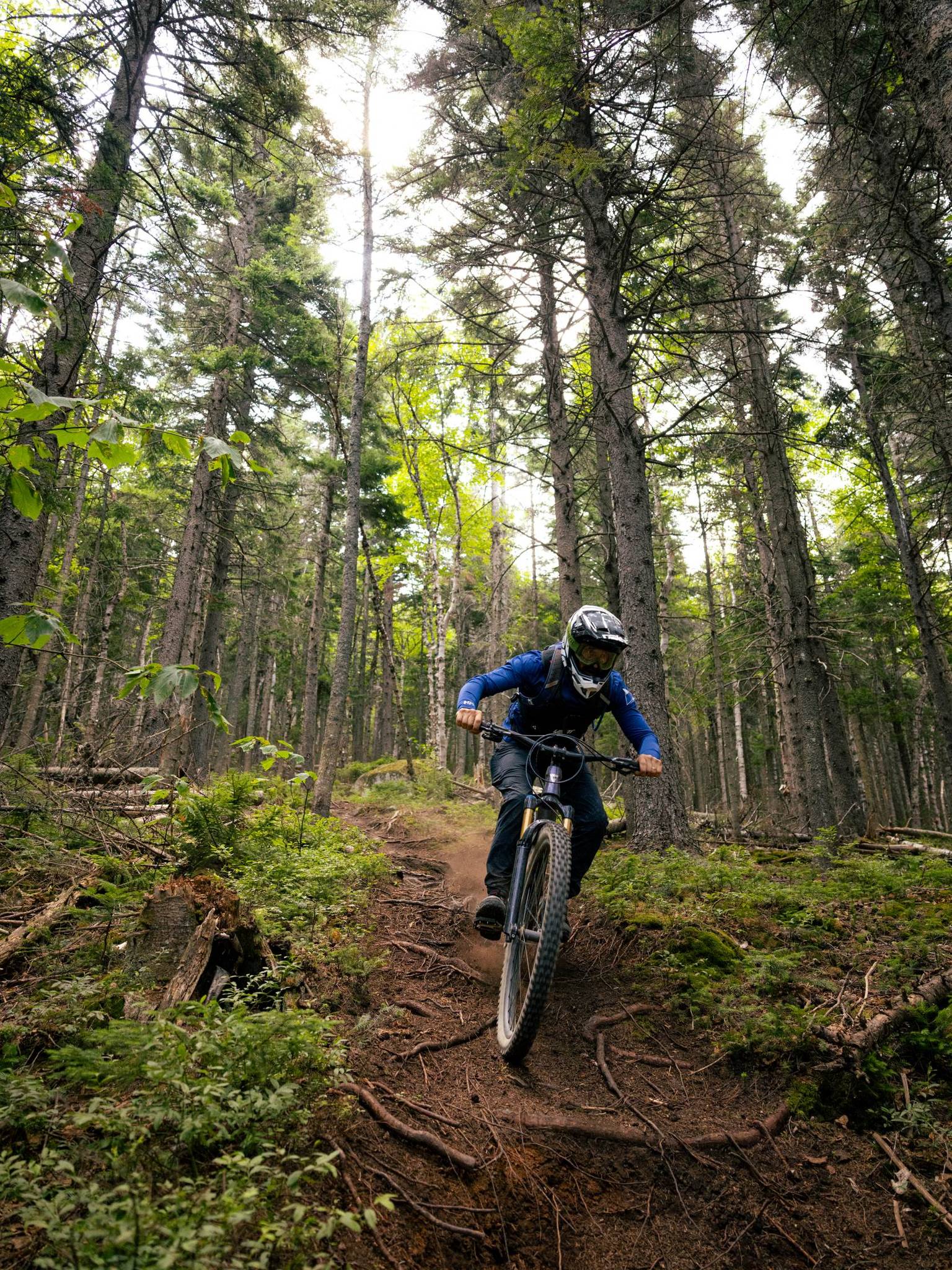 Biker on tech trail