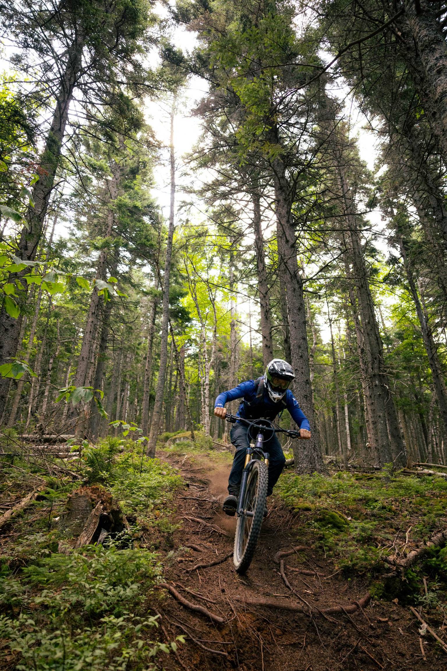 Biker on tech trail