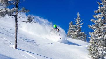Powder Skier in glades