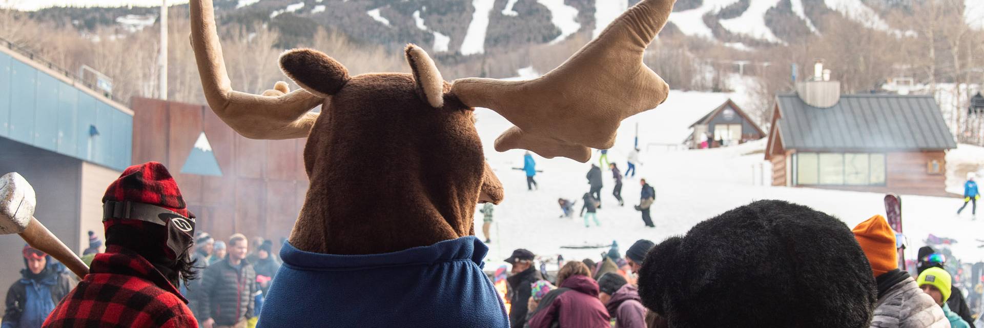 Amos, Pierre, and Blueberry