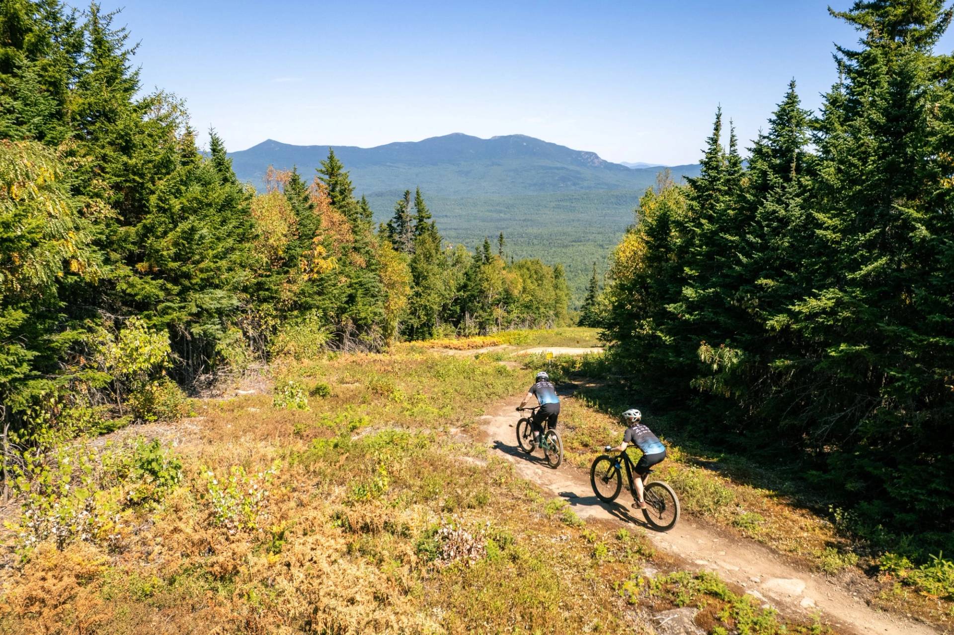 Mountain bikers on trail